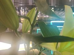 -RELLMAN莱尔曼牛扒(长安店)