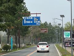 -合肥滨湖国家森林公园
