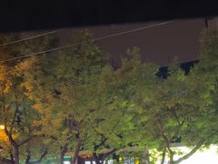 -魏家凉皮(协和店)