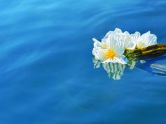 -丽江泸沽湖景区