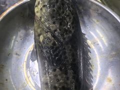 -众味海鲜大排档·活海鲜·潮汕味(南澳店)