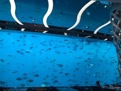-瑞德姆美人鱼海底演艺主题餐厅(亚龙湾店)