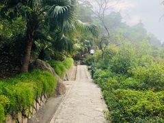 景点-鸿山公园