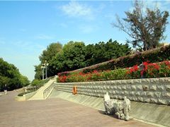 -宝安西湾红树林湿地公园