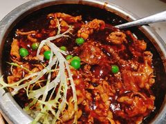 -佬肥猫(国华广场店)