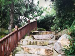 -莫内艺术岛海景咖啡