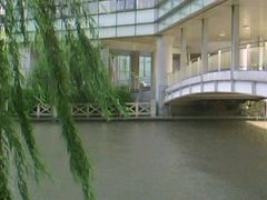 -上海中医药大学附属曙光医院(东部)