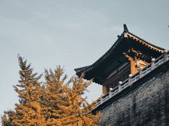 -襄阳古城