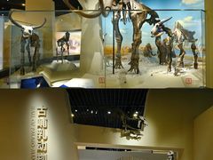 -国家自然博物馆