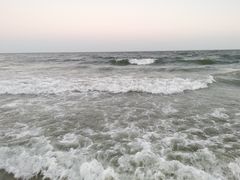 -田记自助海鲜饺子