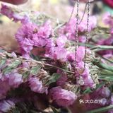 有次路过菜百，看到人挺多