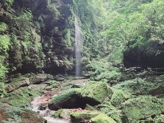 -碧峰峡风景区