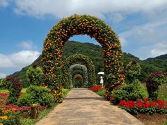 -广州市石门国家森林公园