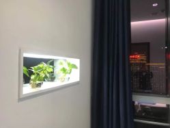 -馨美女性健康管理中心