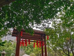 -河源客天下-温泉小镇