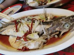 -鱼满舱·鲜活海鲜·正宗鲁菜