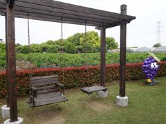 -宏泰园蔬果专业合作社