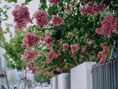 -杭州城北体育公园