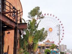-美国村