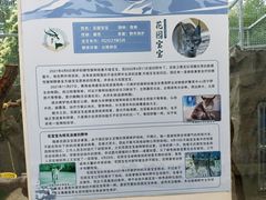 -青藏高原野生动物园