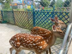 -萌宠亲子动物乐园(槐房万达店)