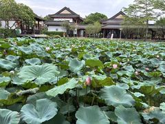 -惠州西湖风景名胜区-丰渚园