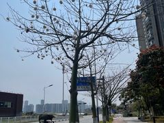 -万科·金域蓝湾