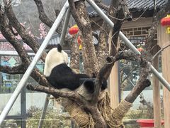 -无锡动物园·太湖欢乐园