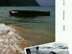 -西涌国际滨海旅游区