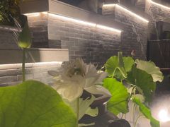 -花锦堂·隐庐