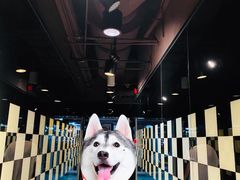 -力美健健身俱乐部(金碧店)