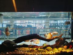 -弓舍射箭俱乐部(高新总店)