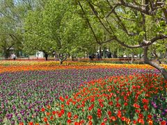 -长春公园(普阳街道)