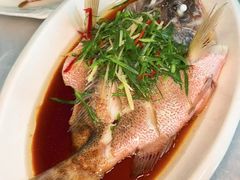 -众味海鲜大排档·活海鲜·潮汕味(南澳店)