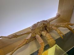 -青岛海底世界-水族馆