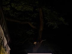 -LAMP BAR 水烟音乐酒吧