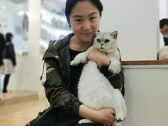 -李小姐の猫咖啡馆(五角场店)
