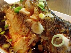 清蒸鲈鱼-沈记菜馆(酒仙桥路店)