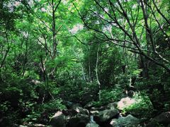 -白草畔自然风景区