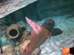 -沈阳海洋探索中心