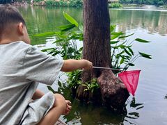 -重庆彩云湖湿地公园