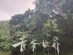 -青青世界