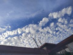 -烂摊摊火锅集市(河北总店)