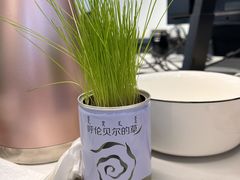 -很久以前羊肉串(中山公园店)