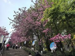 -昆明动物园