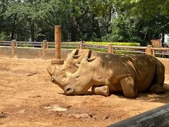 -昆明动物园