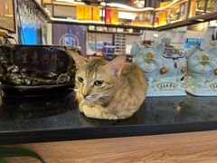 -湛江江记蚝莊烧烤工场(金海岸店)