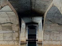 -贡湖湾湿地公园