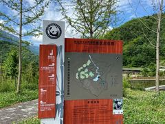 -都江堰中华大熊猫苑