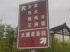 -大唐贡茶院
